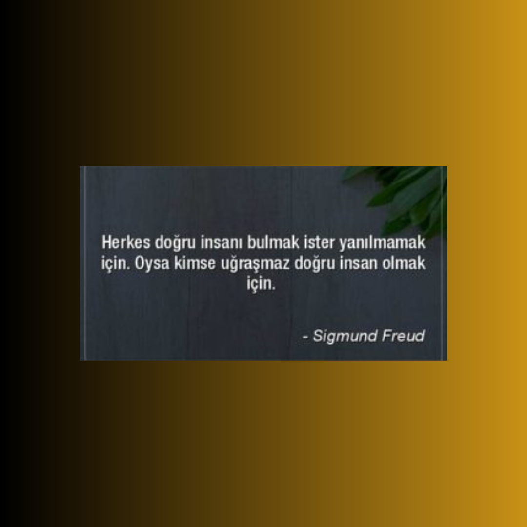 Read more about the article DOLAMBAÇLI YOLLAR