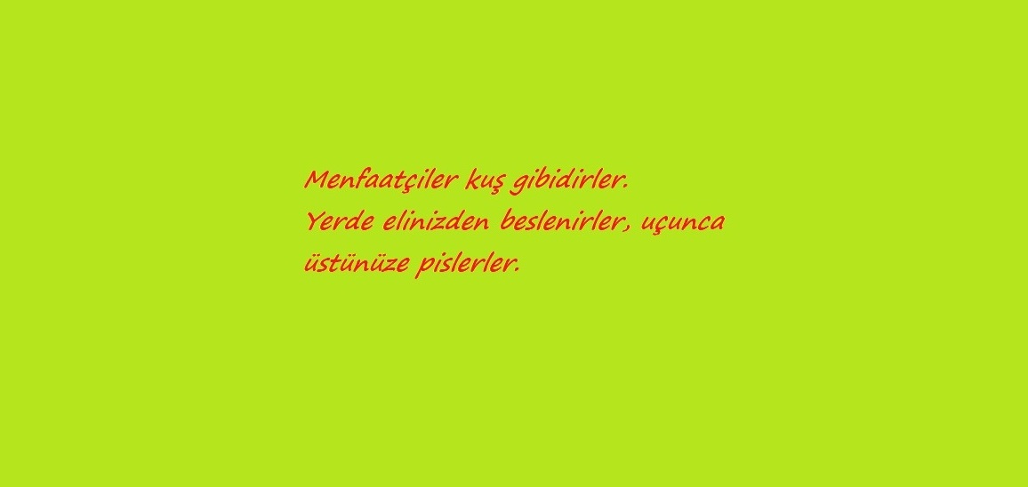 Read more about the article YÜZE GÜLMEK